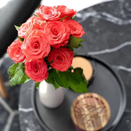 Angie * Kninsko Polje