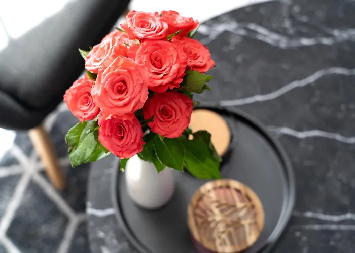 Angie * Kninsko Polje